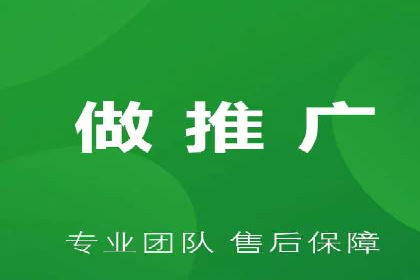 SEO百度推广策略：成功案例解析